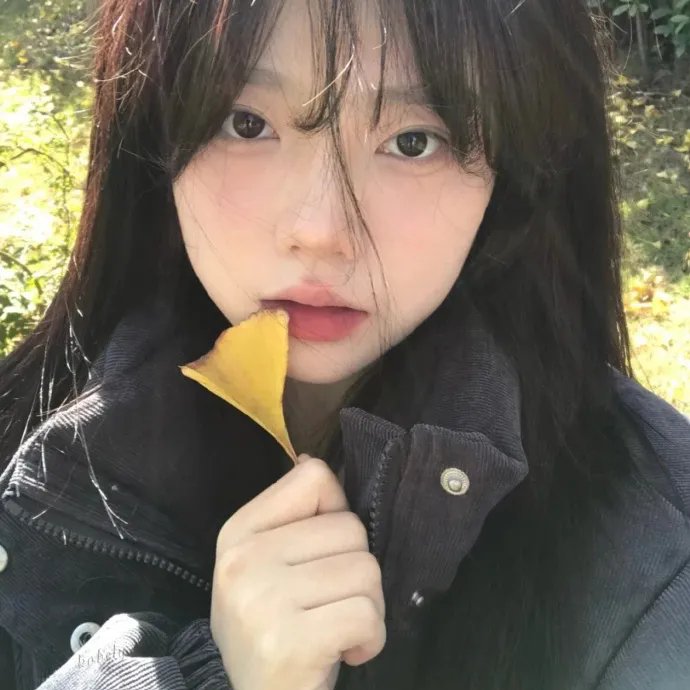 圣的青春